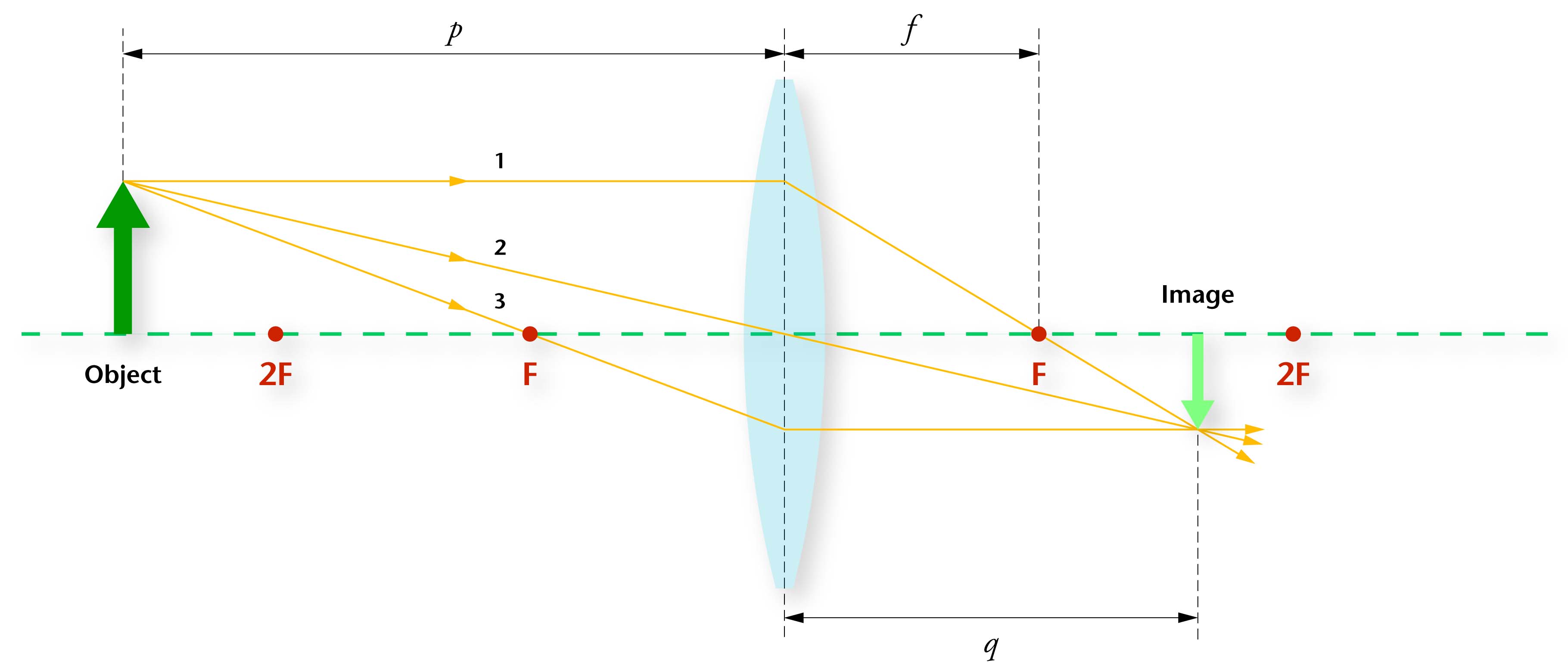 25 Ray Diagram For Converging Lenses